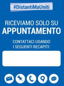 grafica6