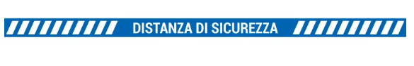 grafica8